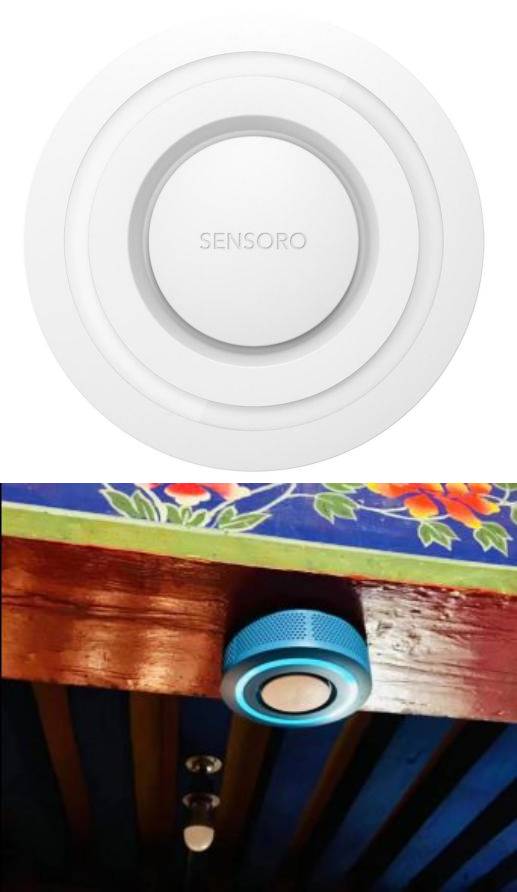 传感器类/Cayman Next 智能安全终端